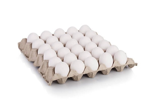 Fresh Eggs Tray  30P